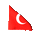 bayrak2
